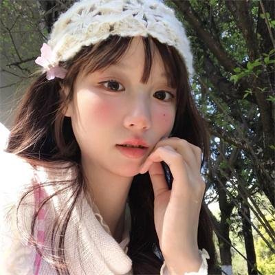 元首的面孔